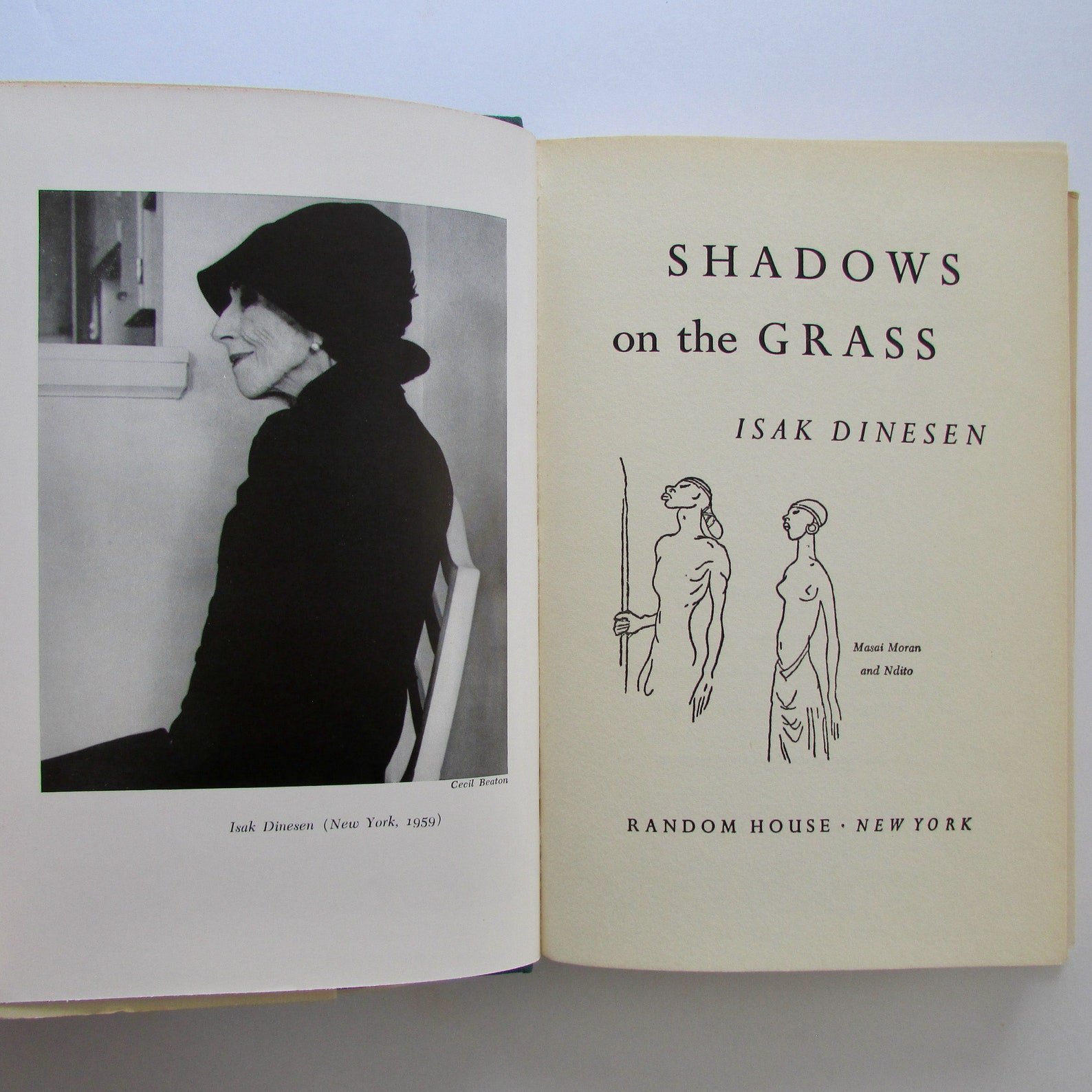 karen blixen shadows on the grass karen blixen shadows on the grass