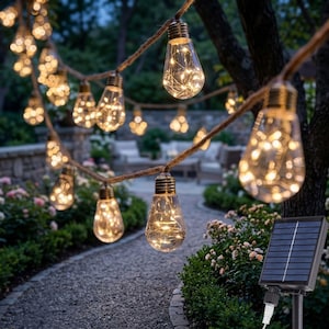Puede incluir: Una cadena de bombillas de cristal transparente suspendidas de una cuerda gruesa marrón. Cada bombilla contiene un delicado hilo de cobre con pequeñas luces LED brillantes. Un panel solar rectangular negro está conectado por un cable blanco.