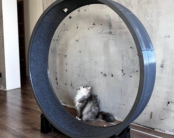 Roue d'exercice pour chat XXL imprimée en 3D | Roue pour chat faite main |
