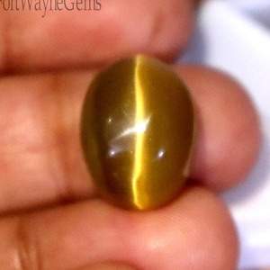 May include: A golden-yellow cat's eye gemstone, oval-shaped, with a prominent chatoyancy effect. The gem is held in a hand, with a white box in the background. The gem's surface reflects light, creating a bright, linear band across its center.
