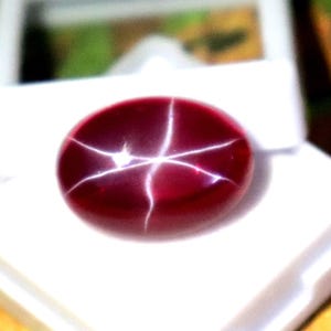 May include: A deep red oval cabochon gemstone featuring a distinct six-rayed star effect known as asterism. The polished stone is displayed resting on the white plastic insert of an open square jewelry box, highlighting its smooth surface.