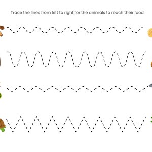 May include: Educational worksheet with illustrations of animals and their food. The text "Trace the lines from left to right for the animals to reach their food" is at the top. Includes a horse, bear, snake, turtle, hay bales, honey pot, mouse, and spinach.