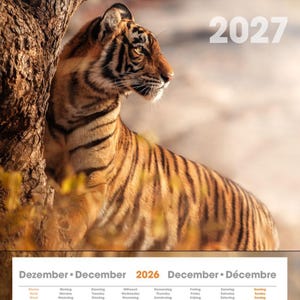 Avrivbart kvartalskalenderblock 2027, 16 månader (dec 2026-mar 2028), 220 x 165 mm, flerspråkig väggkalenderrefill för kontor, röd lila orange