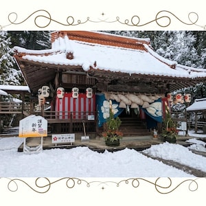 Discover the Hidden Winter Sanctuary