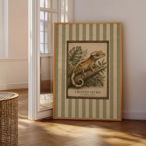 Op de afbeelding: Een ingelijste kunstdruk met een gedetailleerde illustratie van een wimpergekko op een tak, omringd door tropische bladeren. Het kunstwerk is geplaatst tegen een achtergrond van verticale saliegroene en crèmekleurige strepen met de tekst CRESTED GECKO.