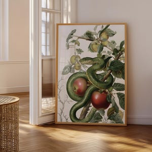 May include: A rectangular framed wall art print featuring a detailed botanical illustration of a green snake coiled around an apple tree branch. The artwork displays vibrant red and green apples nestled among lush green leaves against a white background.