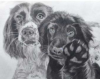 Handgetekende, gepersonaliseerde huisdierenportretten