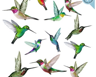 Hummingbirds Window Clings, Anti-Collision Window Clings to Prevent Bird Strikes on Window Glass - Glass Safety Decals for Feathered Friends