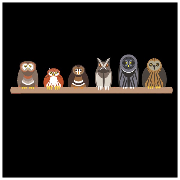 Owl Wall Stickers - Parliament of Owls Wall Sticker Decoration - Home, Store, Nature Center.