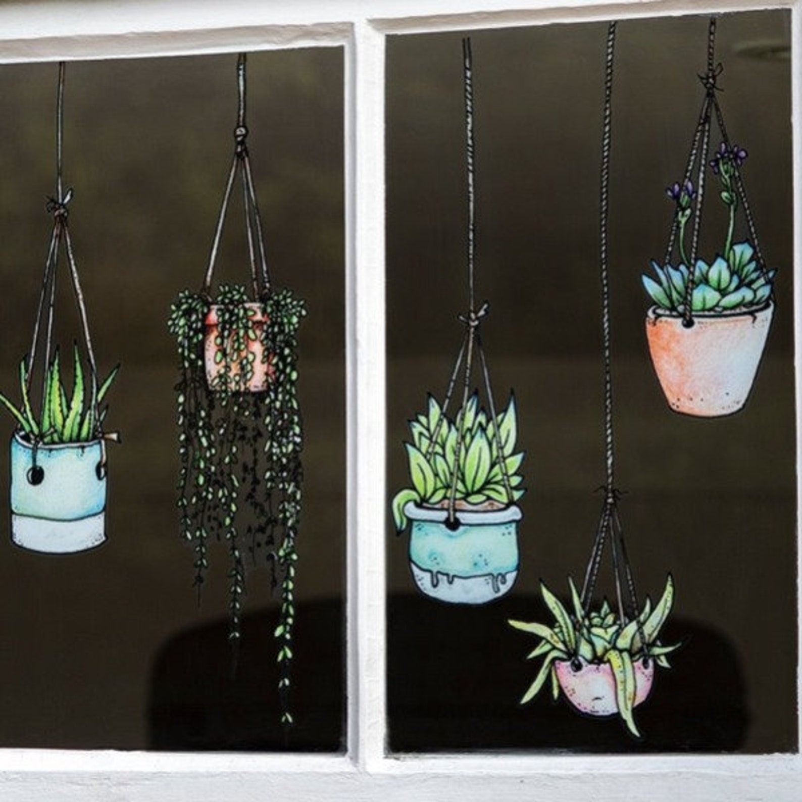 Illustrated Hanging Plants Window Clings Etsy