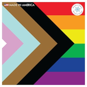 Progress PRIDE Flag Privacy Film Window Cling Decoration For Home and Office Decor. Double Sided, Reusable. Made in America.