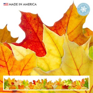 Window Flakes Fall Leaf Border Window Cling, Double Sided 47-Inch Thanksgiving Decal