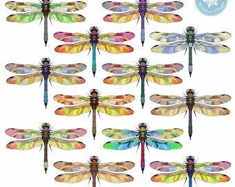 Dragonfly Window Cling Decals for Glass. Stopping Birds Hitting Glass. Anti Collision Stickers. Decorative Home Decor. Made in America.
