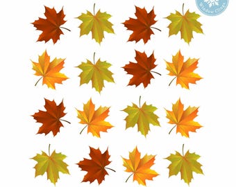 Large Fall Leaf Window Clings Set of 30 Double Sided Autumn Foliage Decals