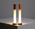 Leopard Cigarette Lamp, Custom Label Available, Modern Table Lamp, Personalized gift, Ambient Night Light, Minimalist Tube Light product logo