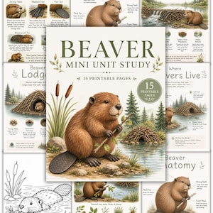 Puede incluir: Un conjunto educativo Beaver Mini Unit Study con 15 páginas imprimibles. La portada muestra un castor marrón sosteniendo una ramita cerca de una madriguera y agua. Las páginas incluyen ilustraciones y texto sobre adaptaciones y anatomía.
