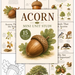 May include: A collection of educational printables titled Acorn Mini Unit Study featuring 15 pages. The pages include illustrations of acorns, oak trees, and animals, with text explaining the life cycle, parts of an acorn, and seasonal changes.