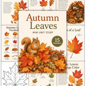Herbstlaub – Mini-Lerneinheit | Naturkunde-Material zum Thema Herbst (druckbar) | PDF für Homeschooling | Alter: 6–10 Jahre
