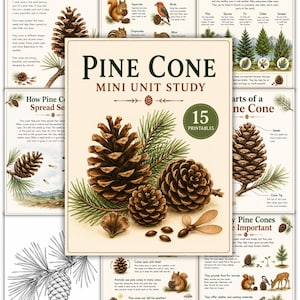 May include: A Pine Cone Mini Unit Study educational packet featuring 15 printables. The cover displays a large illustration of three brown pine cones with green needles and seeds on a cream background with the title Pine Cone Mini Unit Study.
