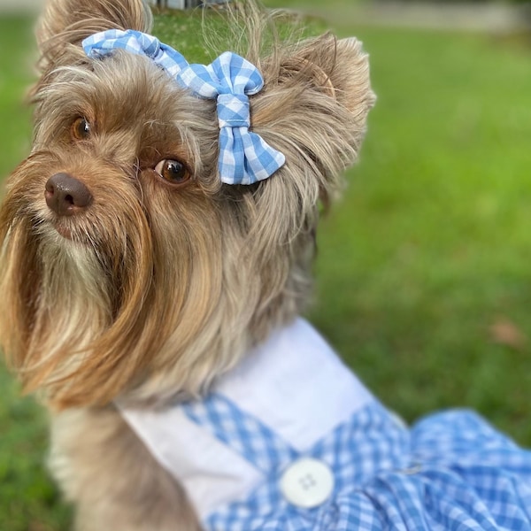 A dog in a green wearing a checkered dress and matching bows in the hair.