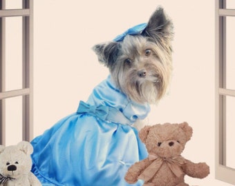 Blue nightgown dog Halloween costume/dress