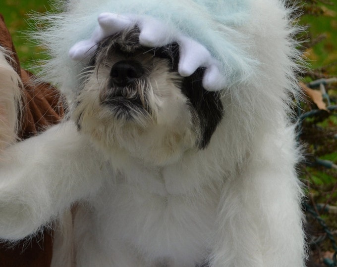 Abominable Snowman  Christmas Dog Costume for Christmas Cards,Instagram , Halloween costume and more!