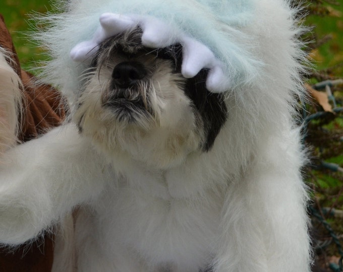 Abominable Snowman (inspired by Bumble) Christmas Dog Costume for Christmas Cards,Instagram , Halloween costume and more!