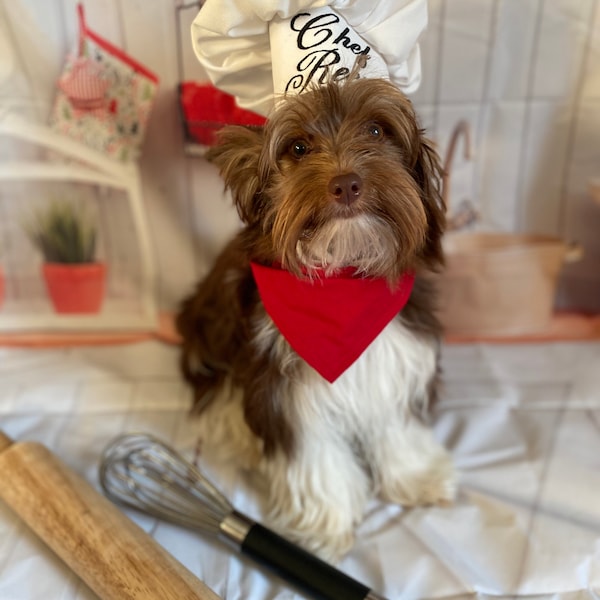 Chef Dog Costume Hat and red scarf