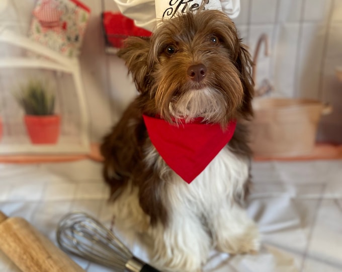 Chef Dog Costume Hat and red scarf