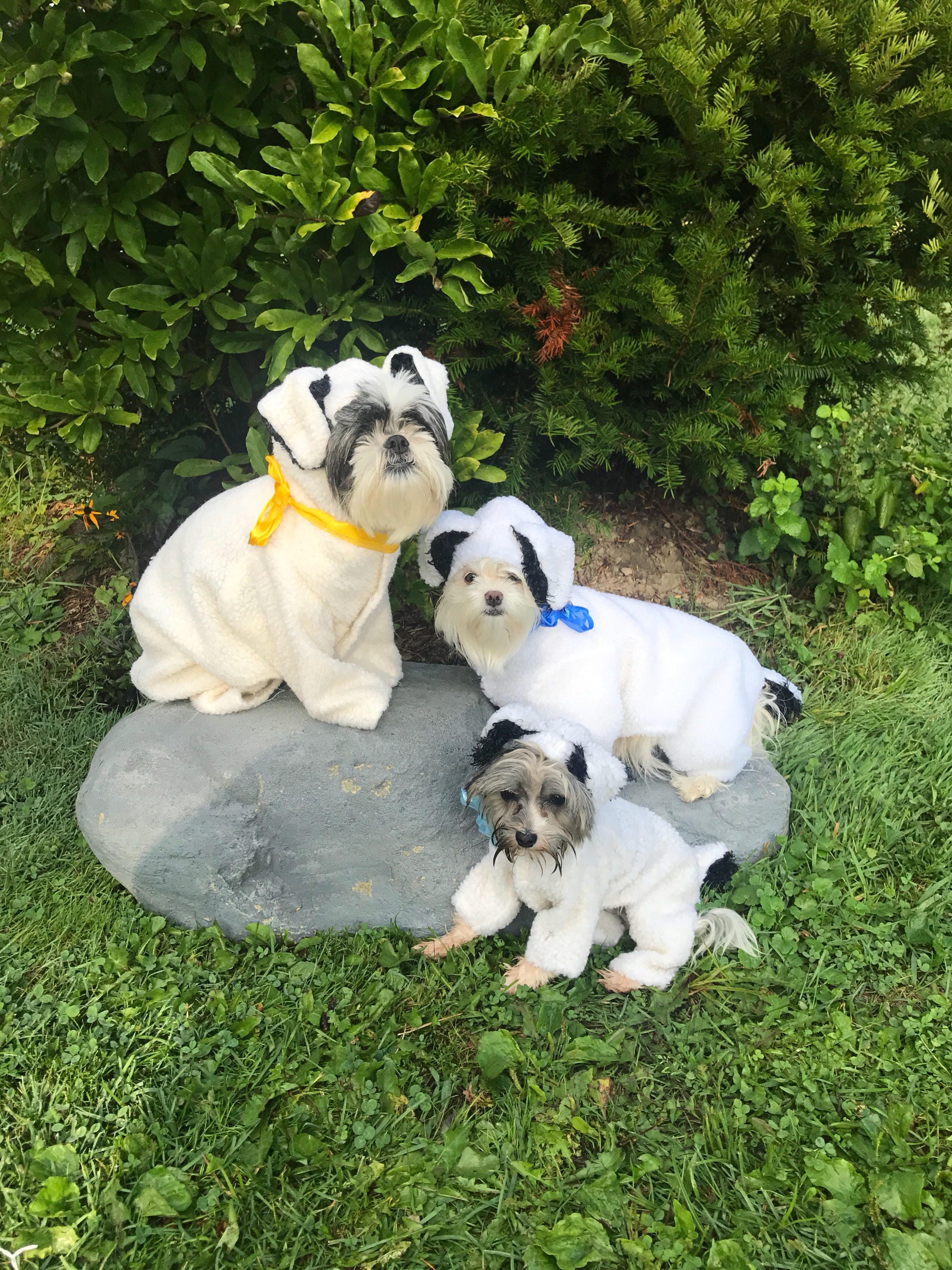 bo peep sheep dog costume