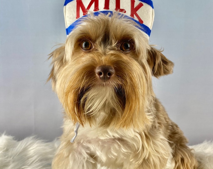 Milk hat/costume for Dog/pet or adult /child
