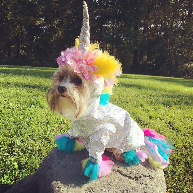 Magical unicorn dog costume perfect for Halloween