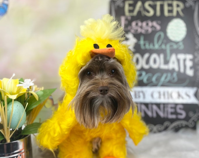 Easter chick/chicken dog costume for small breed dogs