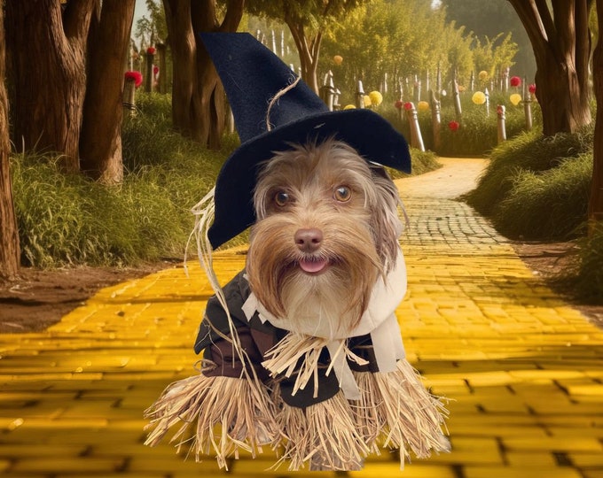 Custom made scarecrow costume for small dogs