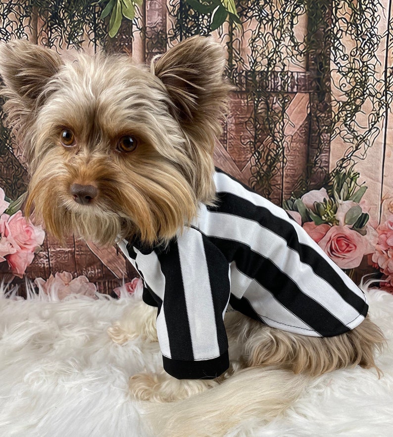 Referee Dog Shirt/costume for Small Dogs Great for Sporting - Etsy