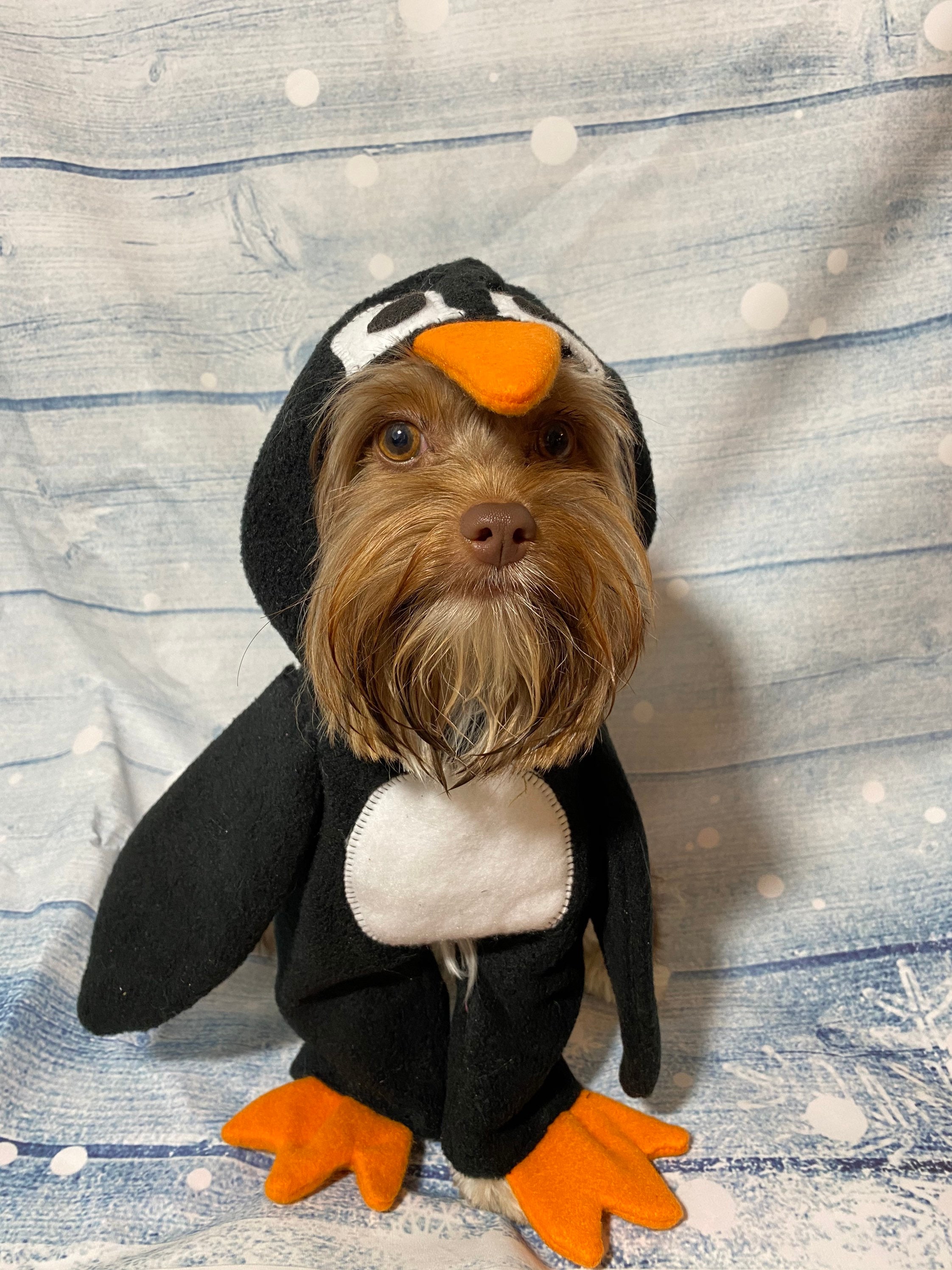 Adorable Penguin Dog Costume made for smaller breed dogs