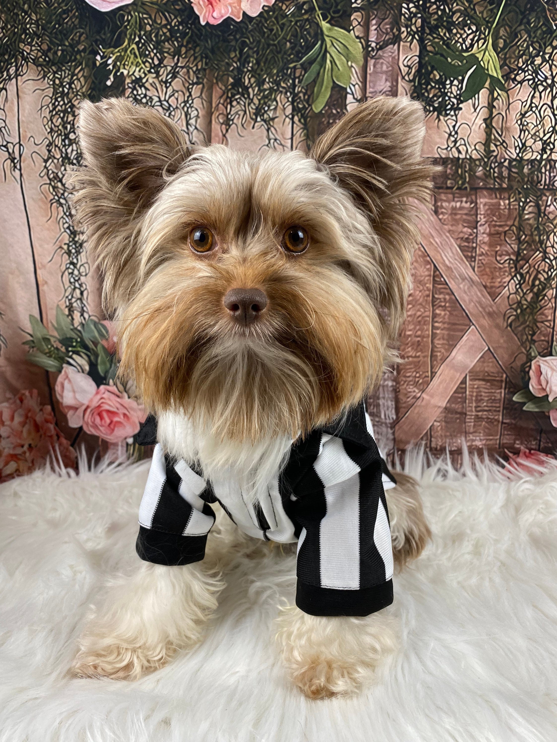 Strict Soccer Referee Dog Mascot Costume in Red Jersey Animal