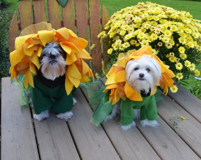Unique Sunflower Dog Halloween Costume for Smallmedium Breed Etsy