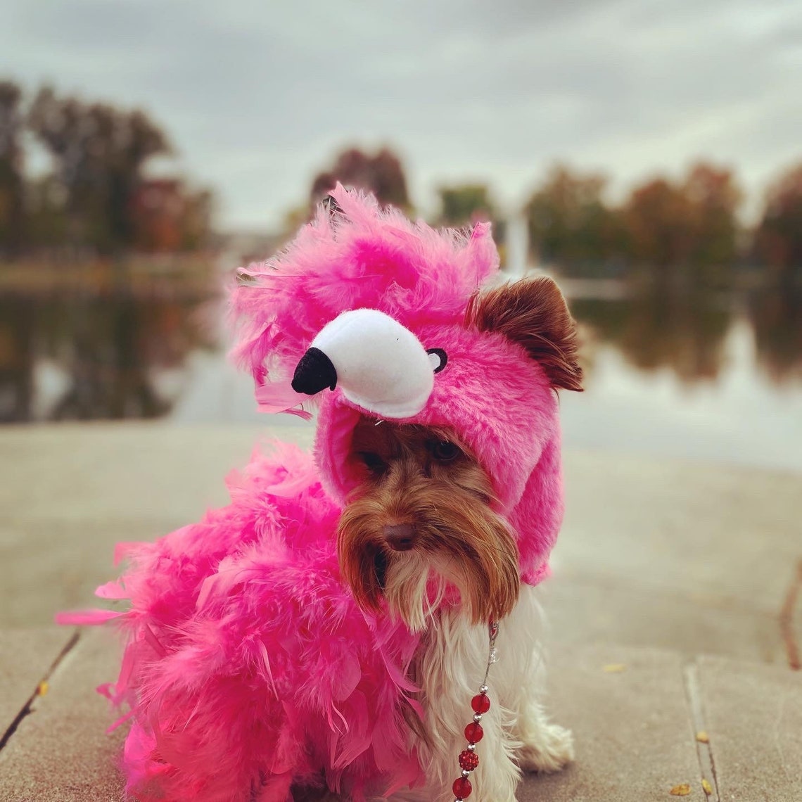 Flamingo Dog Costume Only a Few Available Etsy