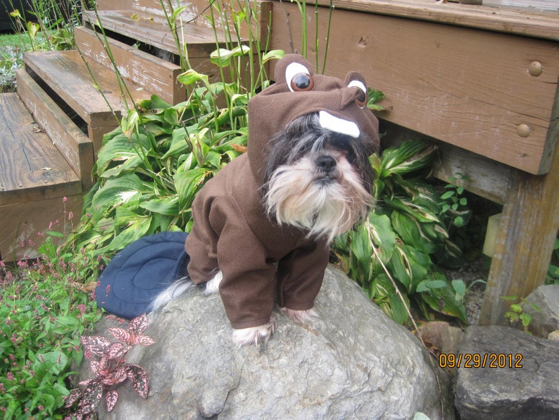 Custommade to order Beaver dog costume for your xsmall-medium size dog