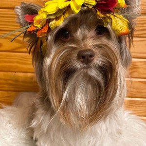 Adjustable Fall/sunflower and leaves headband /crown perfect for Woofstock,fall pics , Instagram and more!