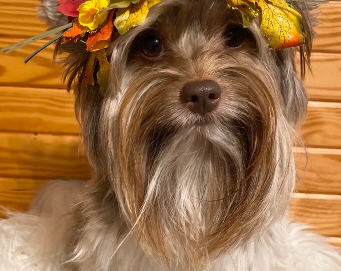 Adjustable Fall/sunflower and leaves headband /crown perfect for Woofstock,fall pics , Instagram and more!