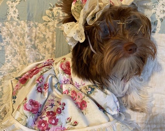 Granny dress/costume for smaller pets including bonnet!