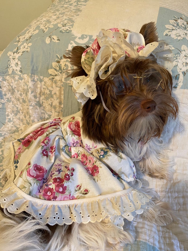 Granny dress/costume for smaller pets including bonnet image 1