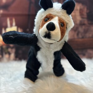 Panda dog clearance outfit