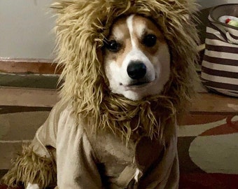 Lion Dog Costume - Etsy Lion Dog Costume - Etsy