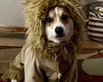 Full body lion dog costume up to approximateky 18 pounds