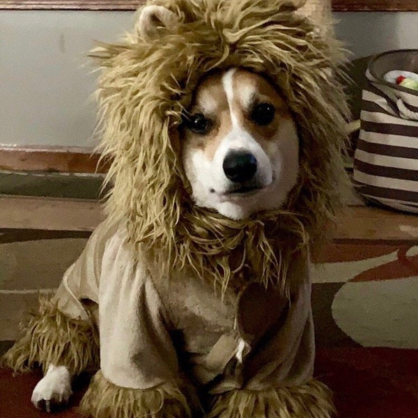 Full body lion dog costume up to approximateky 18 pounds