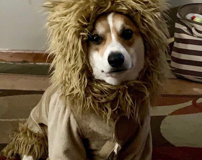 Full body lion dog costume up to approximateky 18 pounds