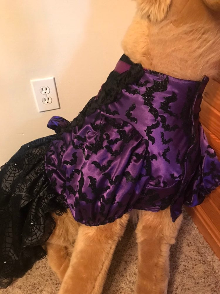 Large breed dog witch halloween costume one if a kind